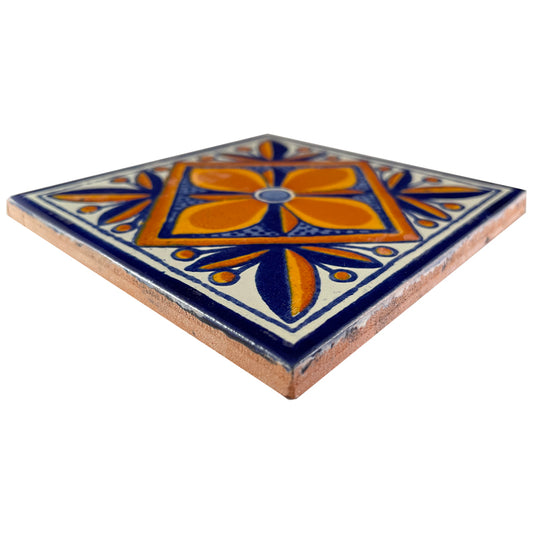 Mendoza Talavera Tile