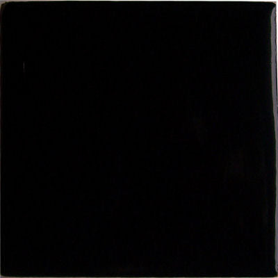 Black Talavera Tile